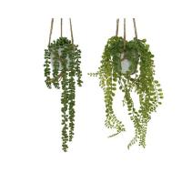 Plants & Planters