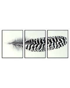 Black Striped Feather Over 3 Black Glass Frames