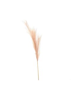 Faux Pampas Grass Stem