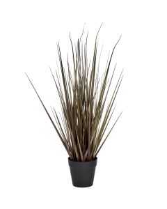 Spray Grass 21 Inch