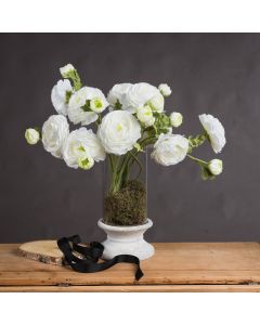 White Ranunculus Spray